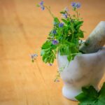 purple petaled flowers in mortar and pestle