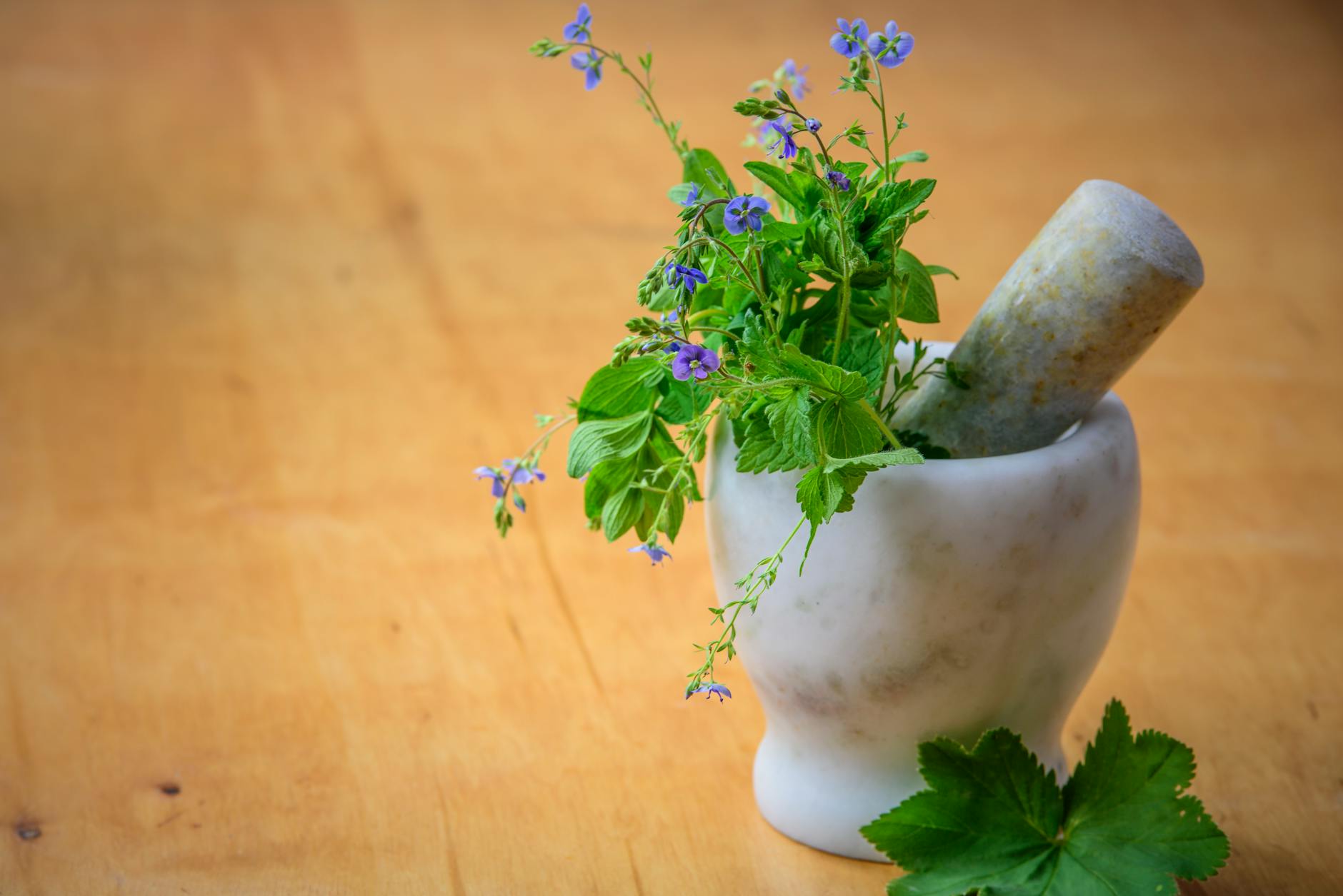 Photo by PhotoMIX Company on <a href="https://www.pexels.com/photo/purple-petaled-flowers-in-mortar-and-pestle-105028/" rel="nofollow">Pexels.com</a>